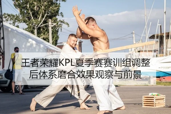 王者荣耀KPL夏季赛赛训组调整后体系磨合效果观察与前景